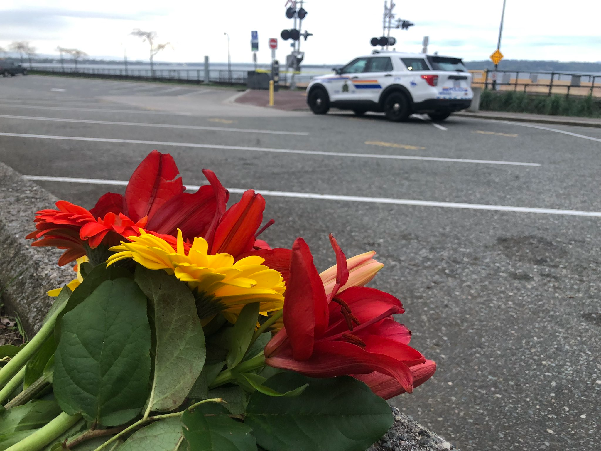Man arrested in deadly White Rock Promenade stabbing that shocked
community