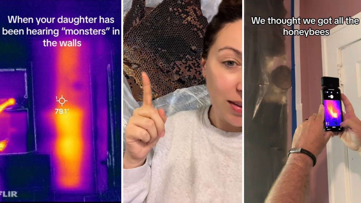 A three-paned split image. The leftmost image is a thermal shot of a wall with a large red heat source from the floor to ceiling. Overlayed text reads, "When your daughter's been hearing 'monsters' in the walls." The middle image is of Ashley Class pointing to a white garbage bag filled with honeycomb. The rightmost image is of a phone taking a thermal image of a wall that has been opened and is exposed.