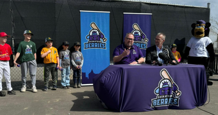 Saskatoon Berries ще спонсорира дивизии Junior Berries през бейзболния сезон 2024