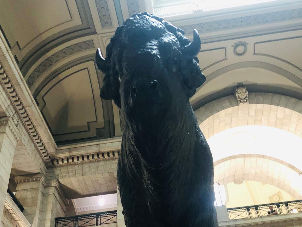 One of two life-sized bison statues at the base of the grand staircase in the Manitoba Legislative Building.