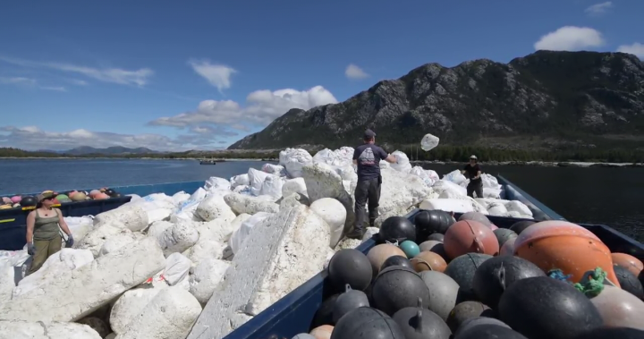 „Просто трябва да направиш нещо“: B.C. туристическа компания се обръща към почистването на бреговата линия