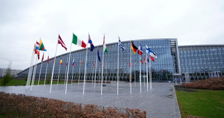 НАТО обсъжда план за предоставяне на по-предсказуема военна подкрепа на
