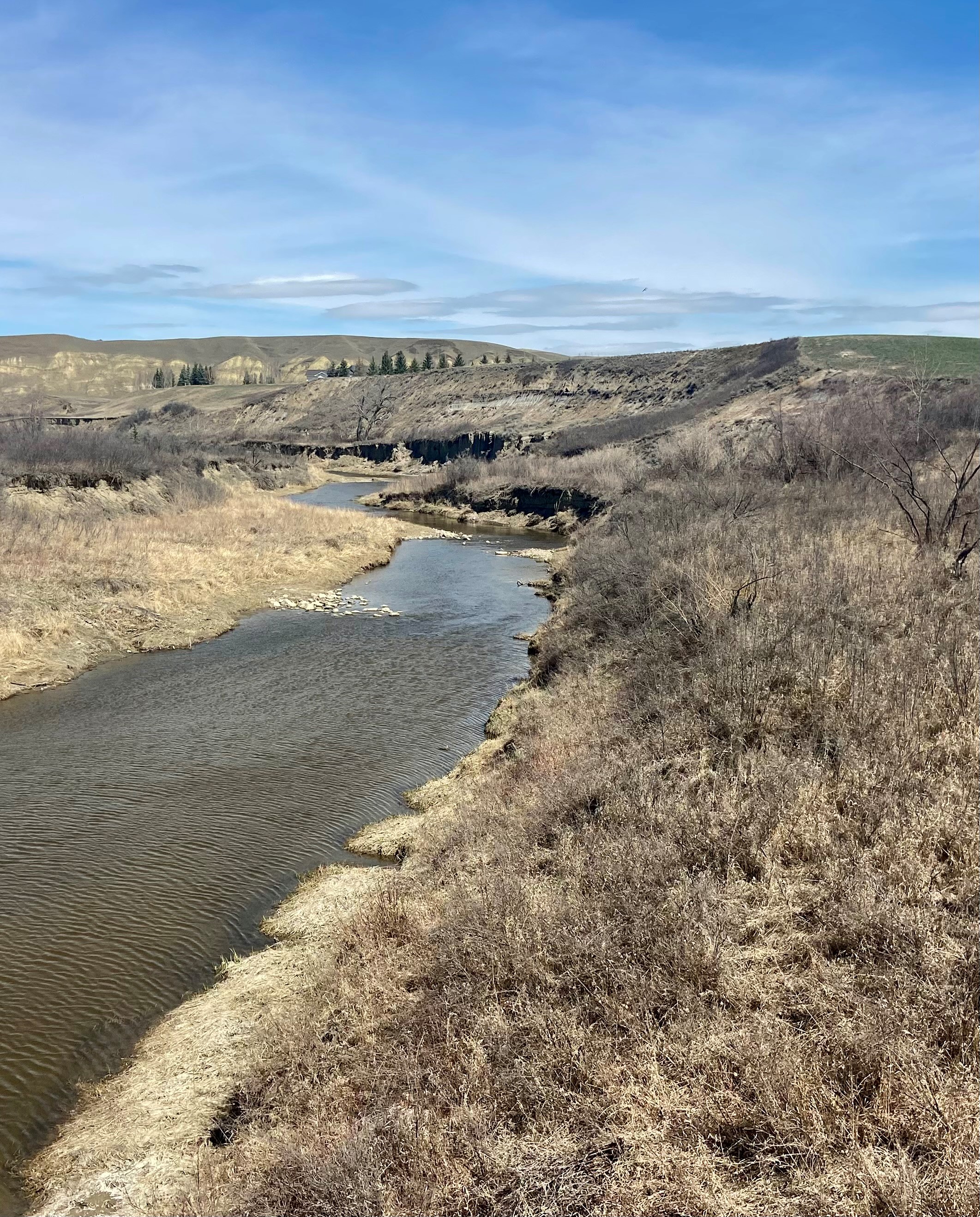 Апелативният съвет по околната среда на Алберта отхвърли искането на