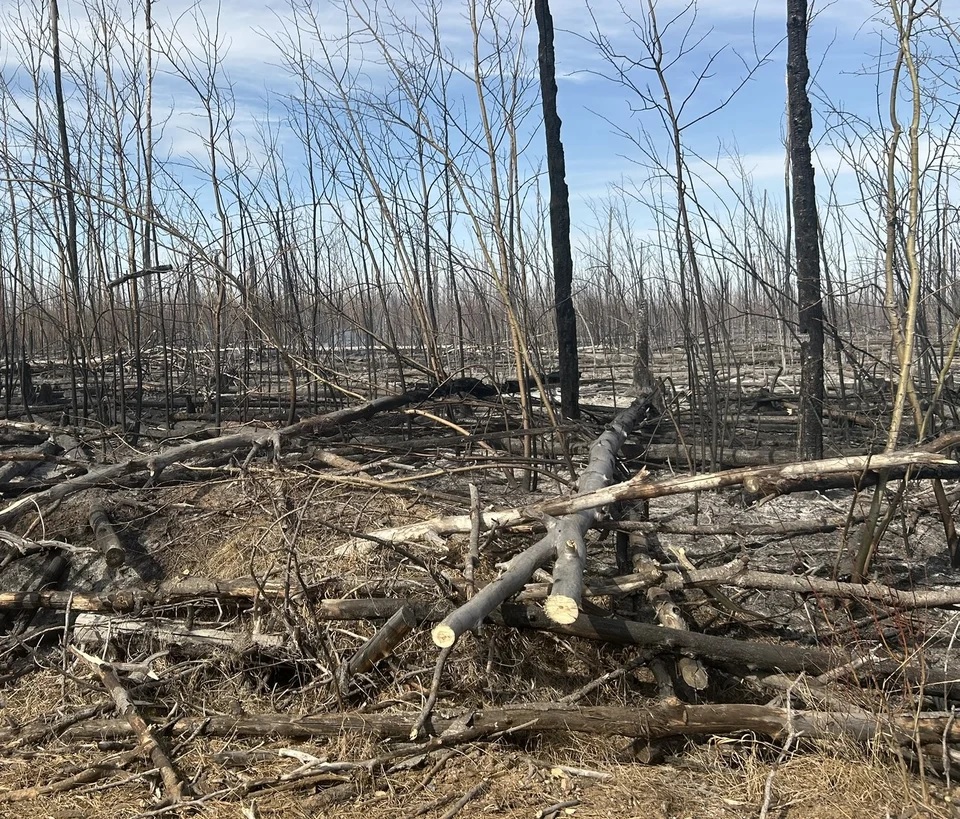 A wildfire near Saprae Creek, Alta., was being held.