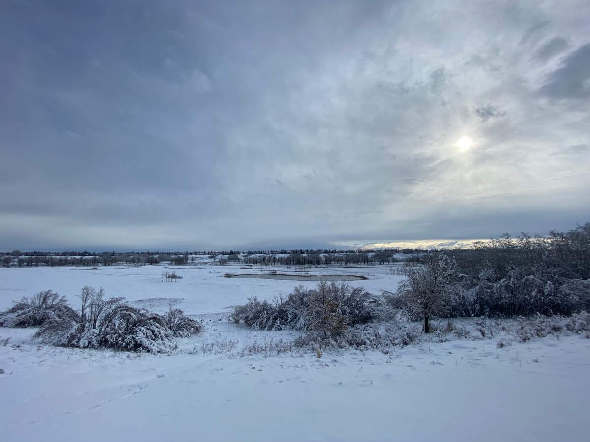 Calgary's Fish Creek Park was blanketed by heavy wet snow Tuesday morning (April 30, 2024)