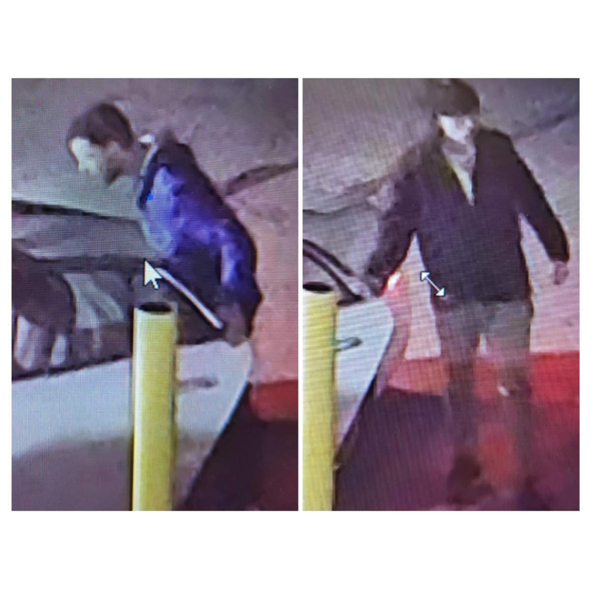 Police in Peterborough, Ont., are looking for two suspects after boxes of frozen items were reported stolen from a store.