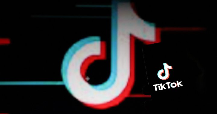 TikTok vows to sue over potential U.S. ban. What’s the legal outlook? – National | Globalnews.ca