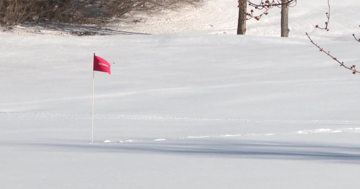Снегът замръзна в деня на откриването на голф игрището в Едмънтън