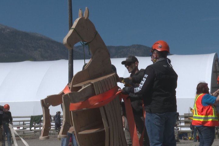Large animal emergency training course held in South Okanagan