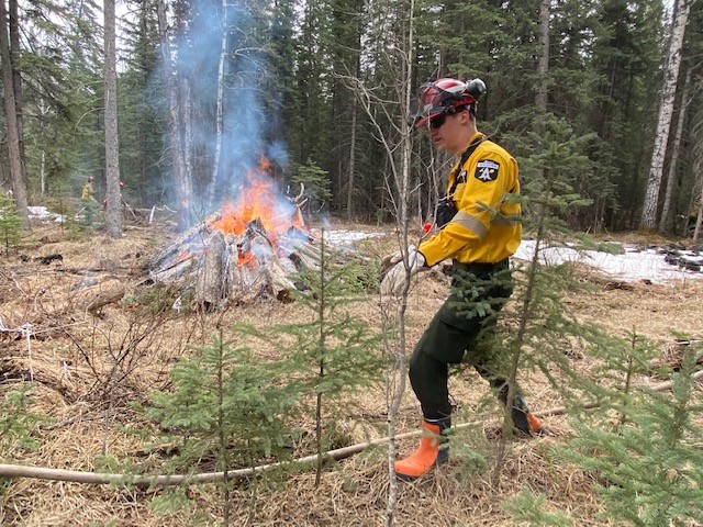 Wildland firefighters train near Hinton.