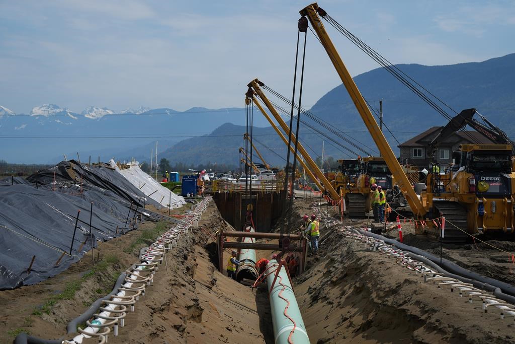 Workers lay pipe during construction of the Trans Mountain pipeline expansion on farmland, in Abbotsford, B.C., on Wednesday, May 3, 2023.
