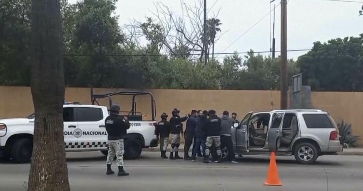 Три тела, открити в район на Долна Калифорния, вероятно са