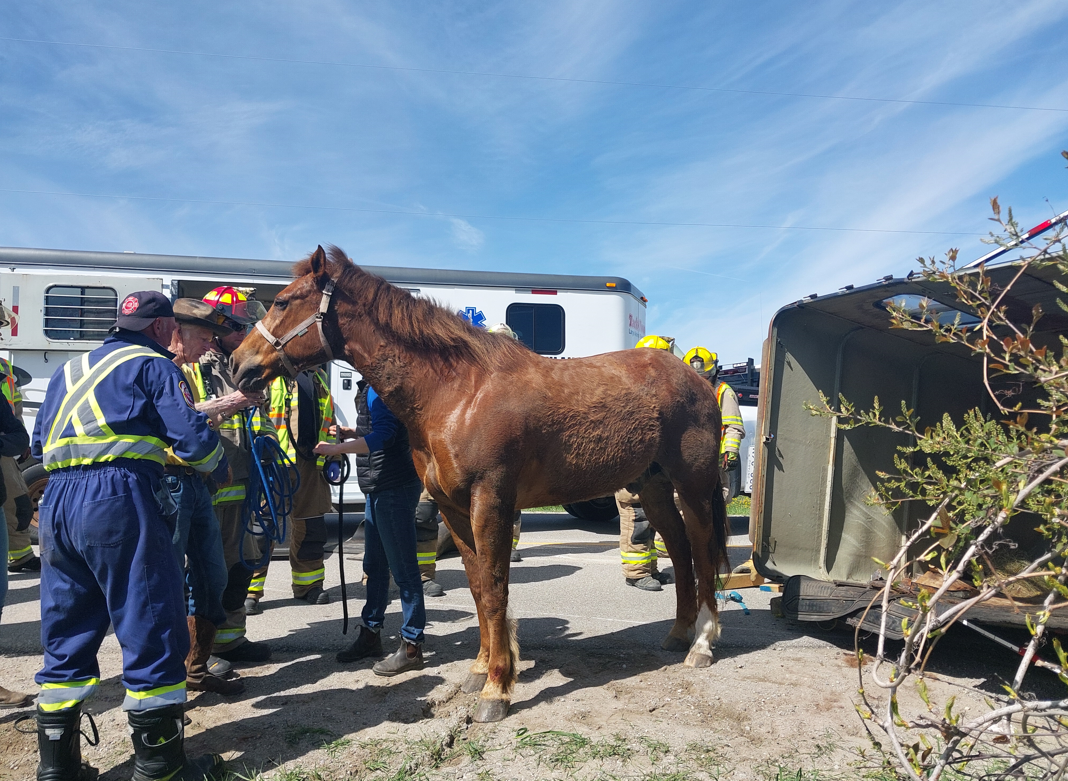 Horse, drivers all right after trailer overturned in New Tecumseth
crash