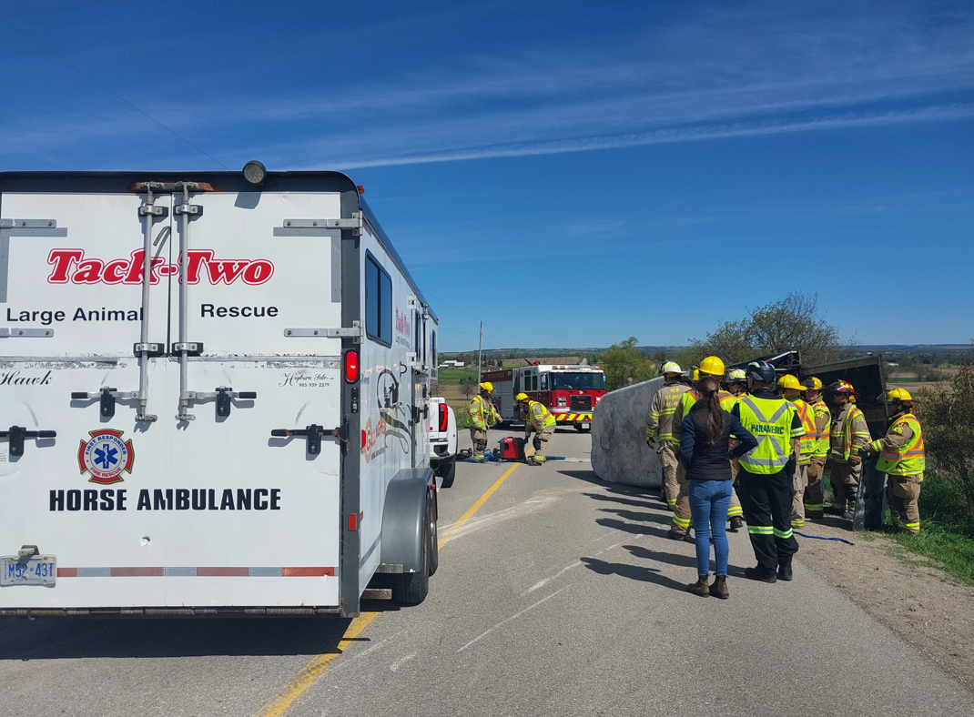 Members of the Nottawasaga OPP were at the scene of the two-vehicle collision which overturned a horse trailer containing a 21-year-old horse named ‘Donte.’