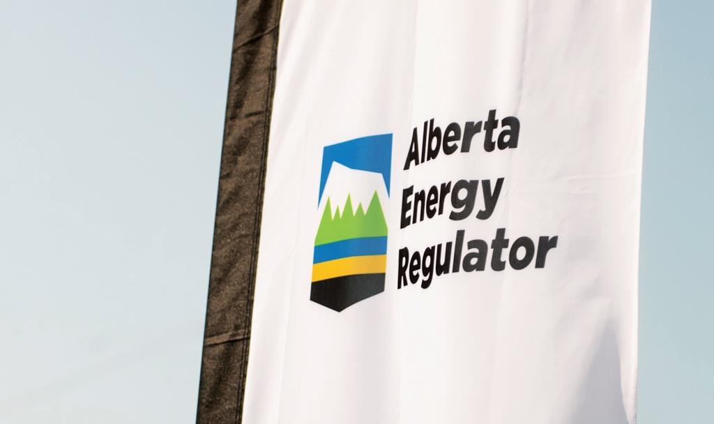 The Alberta Energy Regulator logo is seen on a flag at the opening of the regulator's office in Calgary in an undated handout photo.