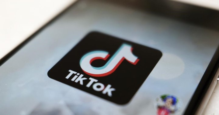 Canadians should listen to CSIS head on TikTok warning, Trudeau says - National |