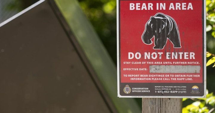 Б К Офицерът по опазване на природата казва че мечка