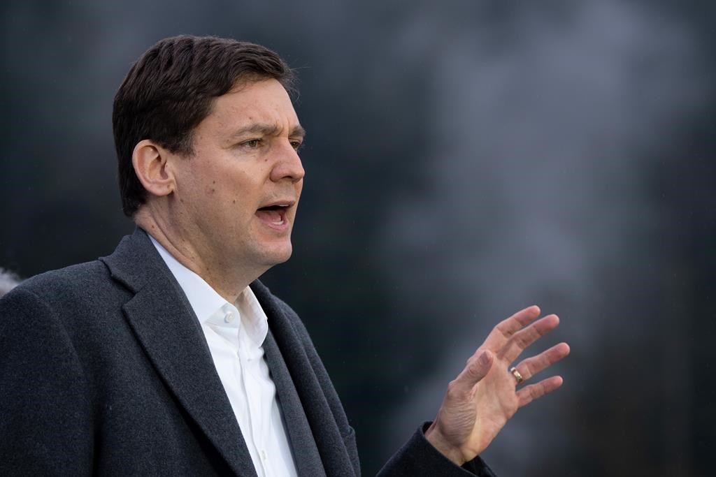 Премиерът Дейвид Иби изнесе реч в предизборен стил пред своята