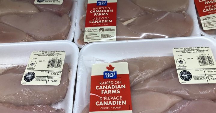 Maple Leaf Foods to close aging Brantford poultry plant, consolidate production