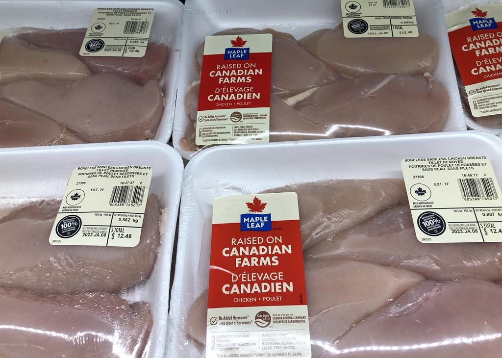 Maple Leaf Foods says it's closing its aging plant in Brantford, Ont. and consolidating its operations into its existing network through early next year. Packages of Maple Leaf Foods chicken breasts are shown on a shelf at a grocery store in Oakville, Ont., Friday, Jan.6, 2023. 