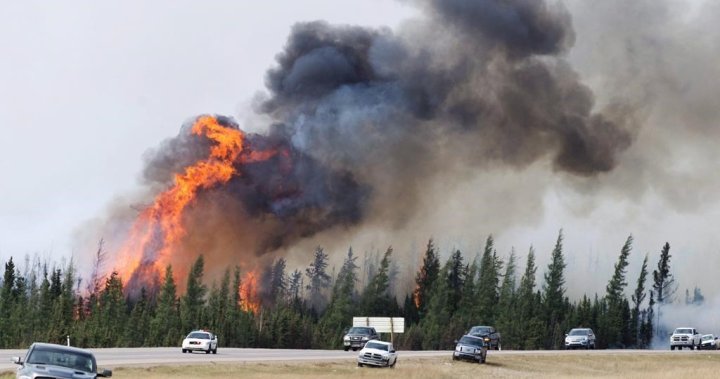 Канадските телекоми работят по укрепването на мрежите на фона на нарастващата активност на горските пожари