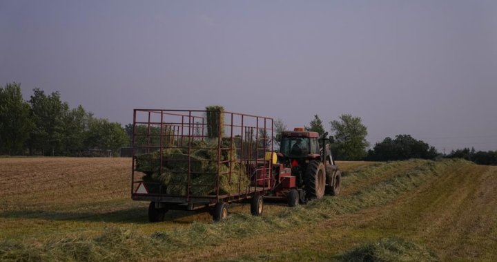 Селските фермери в Хамилтън Онтарио ще трябва да плащат нова