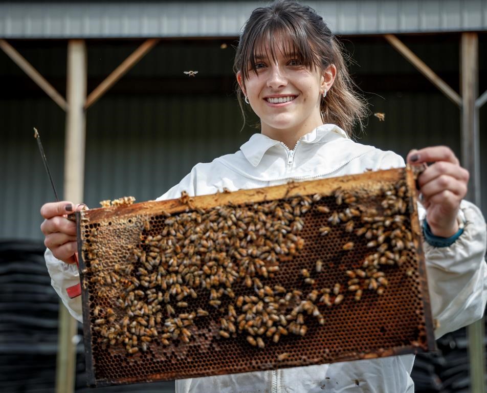 Canadian ski jumper from Calgary trades snowsuit for beekeeping suit
