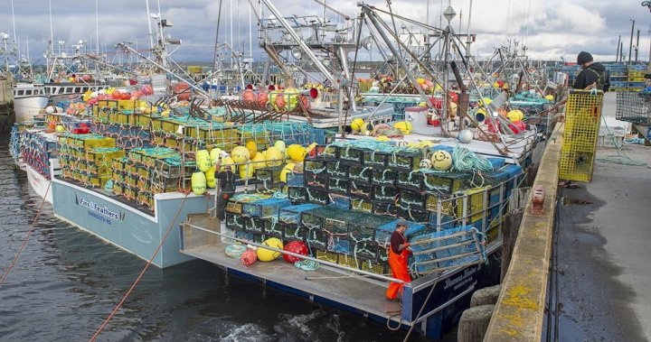 Департаментът по рибарството издава предупреждения за манипулиране на капани за омари в Нова Скотия
