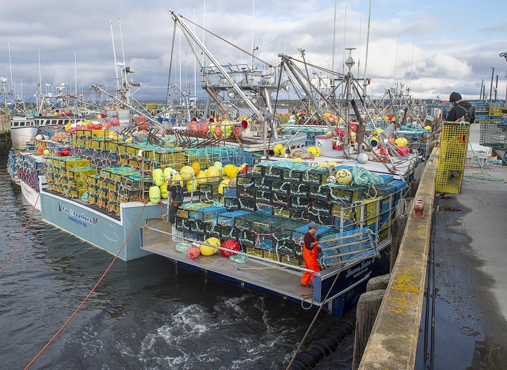 The federal Fisheries Department says it is investigating reports of fishing gear tampering in lobster fishing areas in eastern Nova Scotia. Fishermen load their traps in Lower West Pubnico, N.S., on Saturday, Nov. 28, 2020. THE CANADIAN PRESS/Andrew Vaughan.