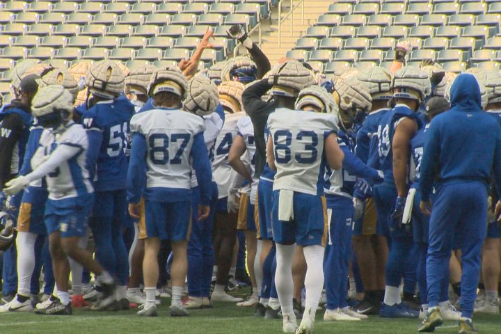 Winnipeg Blue Bombers have new starters aplenty to kick off new season