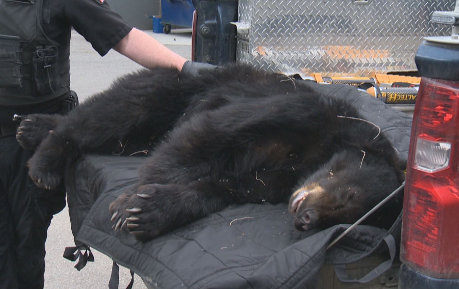 B C Правителството въвежда ново партньорство насочено към по добра защита