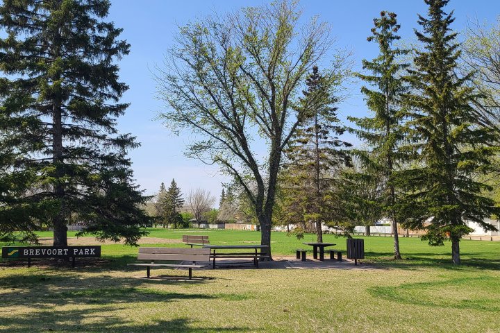 Flood control project starts up in Saskatoon’s Brevoort Park neighbourhood