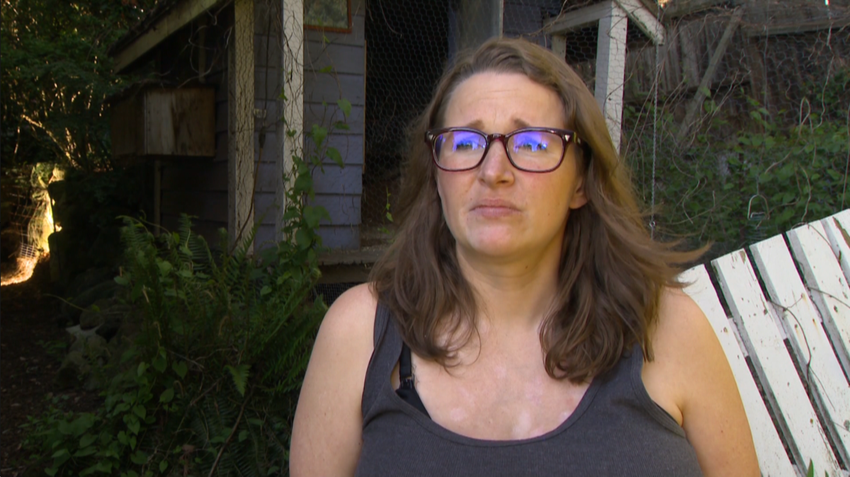 North Vancouver woman pleads for stolen chicken’s return: ‘They stole a ...