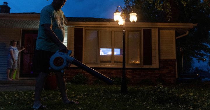 Quiet after 6: Ontario city considers curfew for gas-powered lawn tools