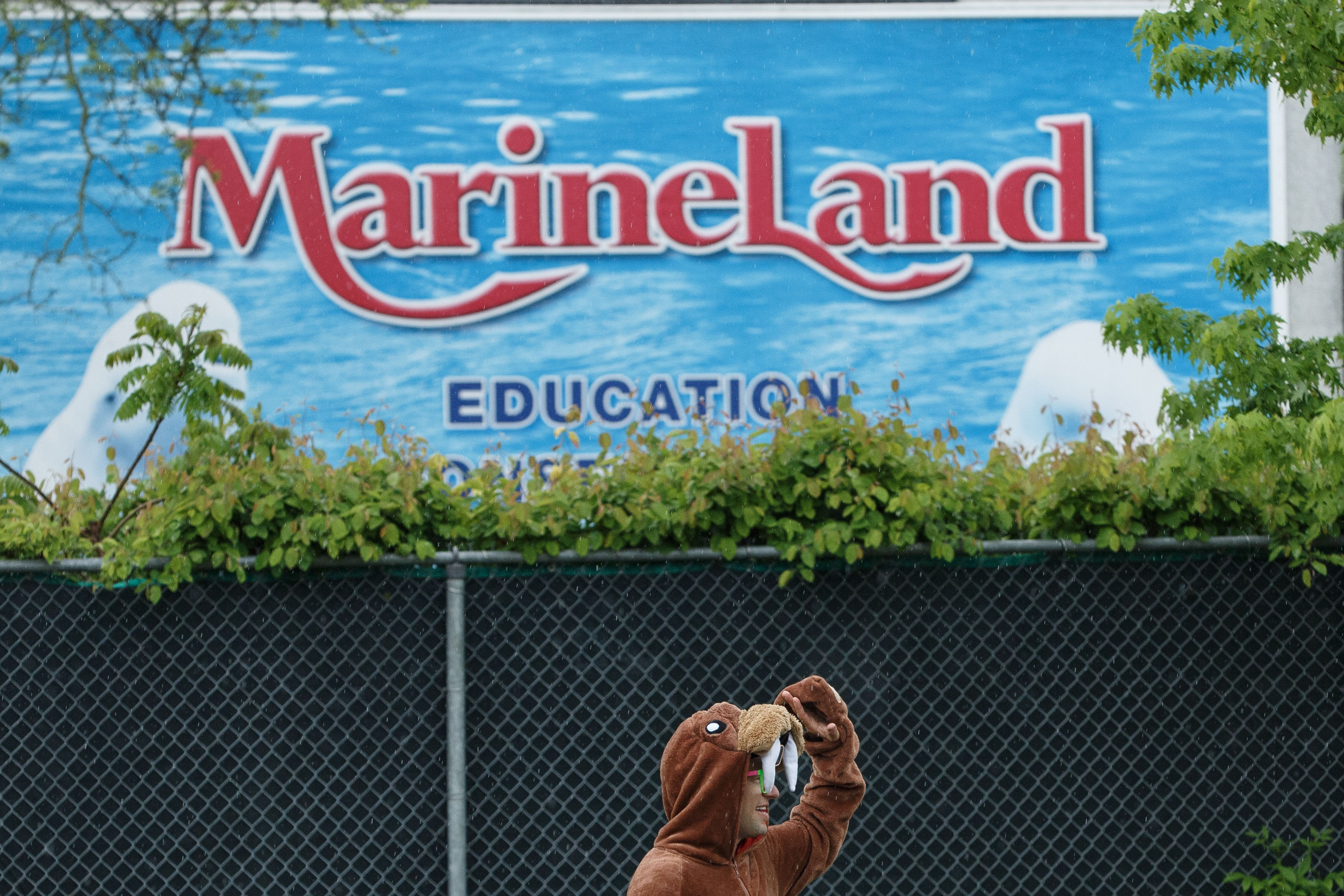 Scaled down Marineland to open in June without rides, animal exhibits