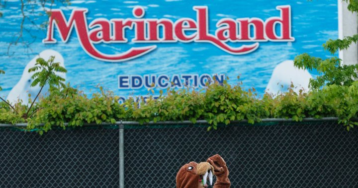 Намален Marineland за отваряне през юни без атракциони, експонати с животни