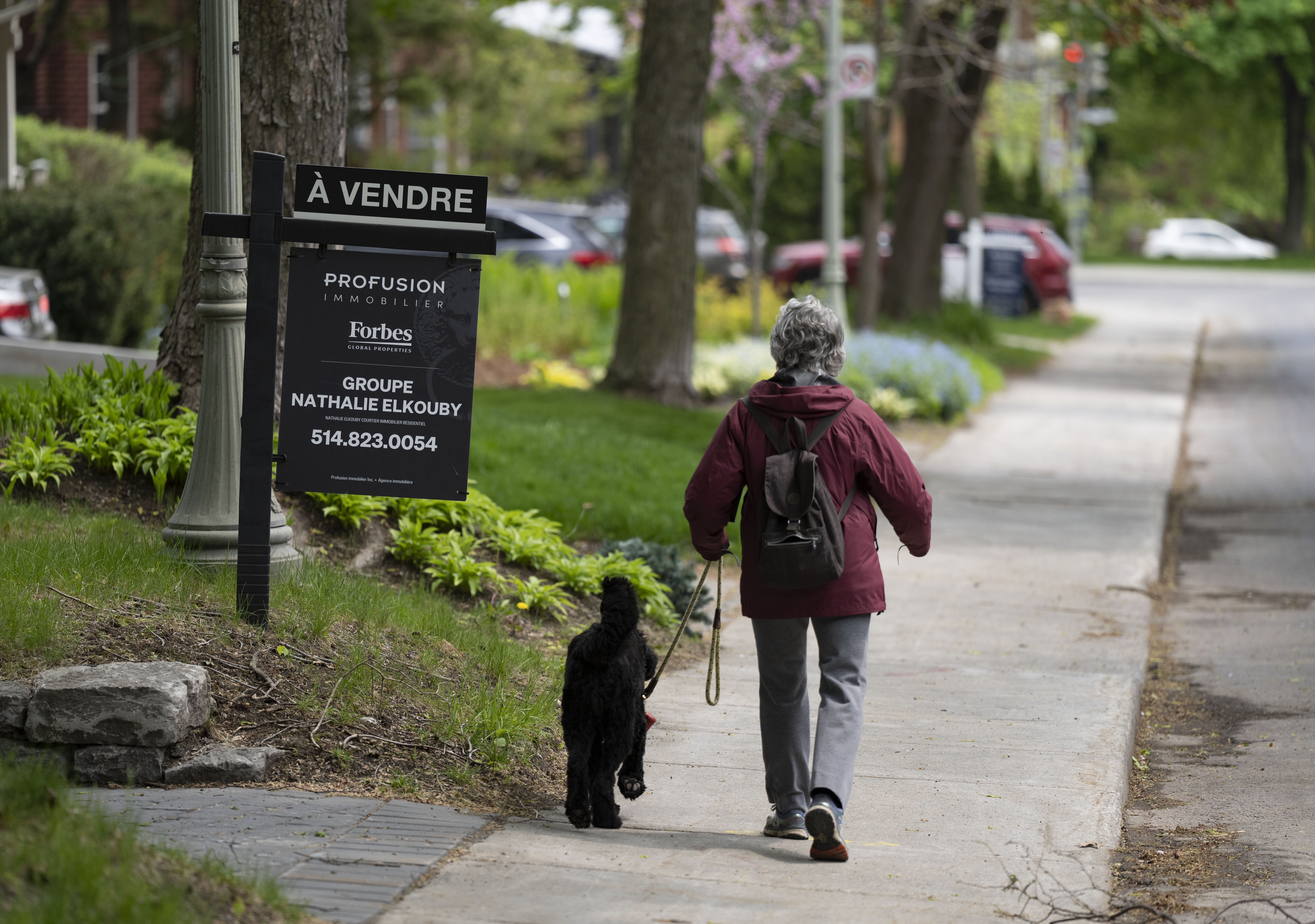 Квебекската професионална асоциация на брокерите на недвижими имоти казва че