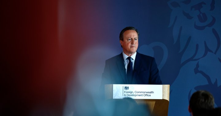Външният министър на Великобритания Дейвид Камерън тази седмица призова съюзниците