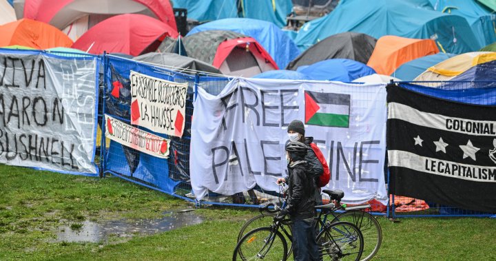 McGill bírósághoz fordul, hogy végzést kérjen a palesztinbarát tábor eltávolításáról