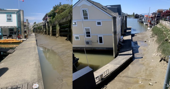 Собствениците на плаващи къщи се чувстват оставени да изсъхнат, тъй като къщите засядат в река Фрейзър
