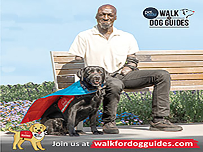 Pet Valu Walk for Dog Guides - image