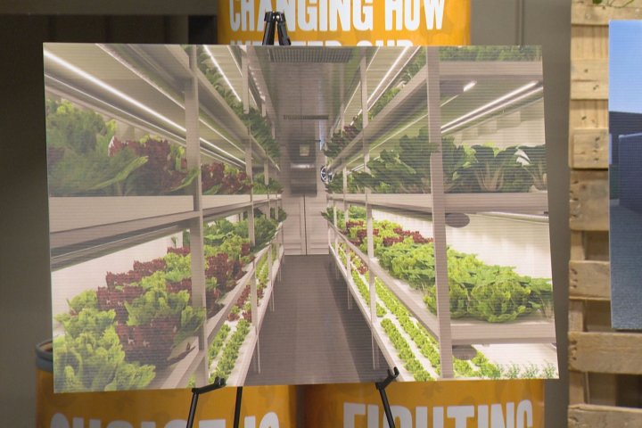 Regina Food Bank, Farm Credit Canada partner in indoor agriculture to fight hunger