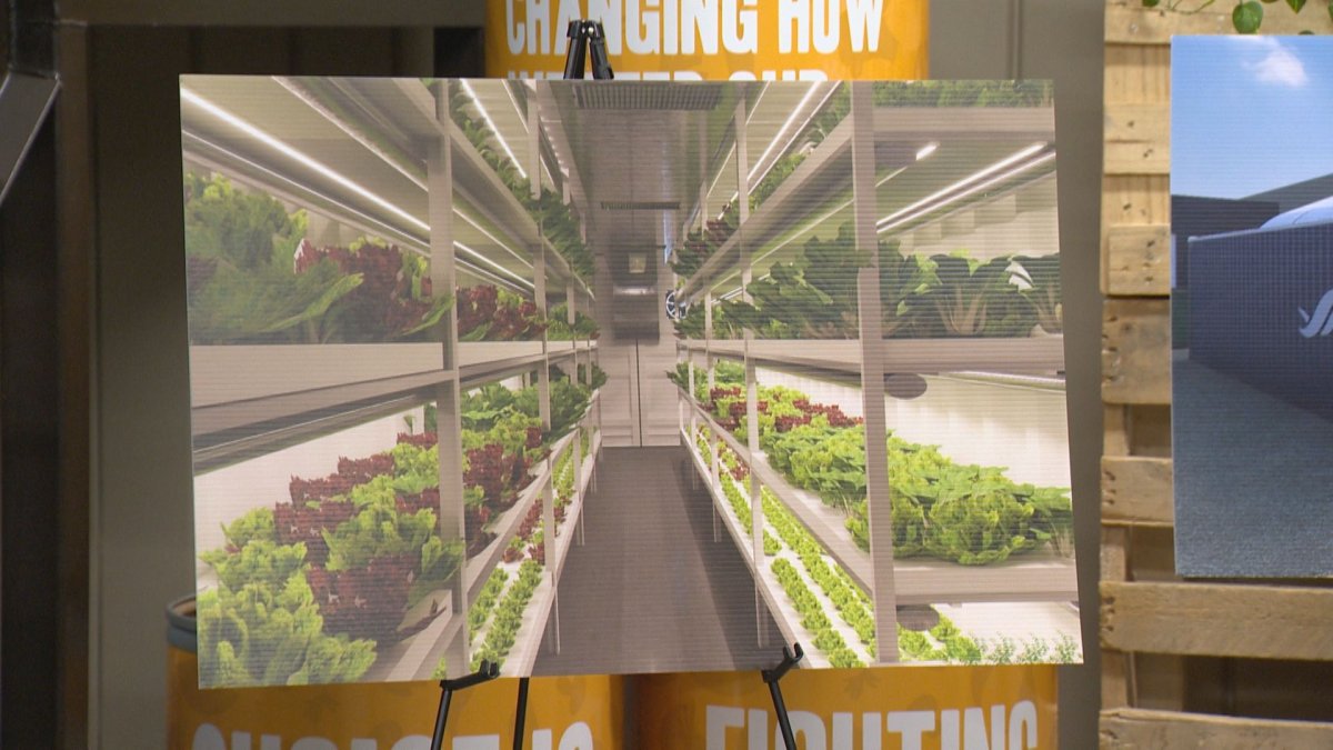 In an effort to combat food insecurity, the Regina Food Bank and Farm Credit Canada introduces an initiative aims to secure and distribute food with indoor agriculture.