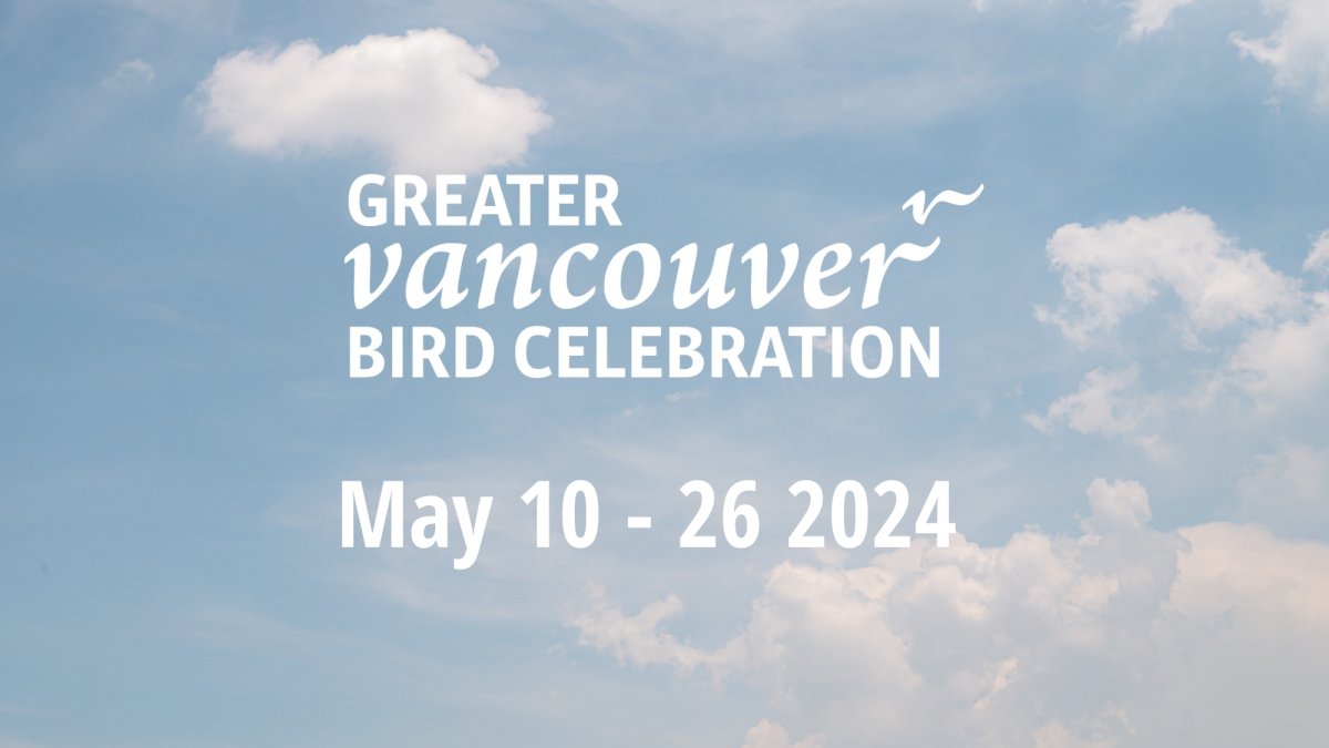 Greater Vancouver Bird Celebration - image