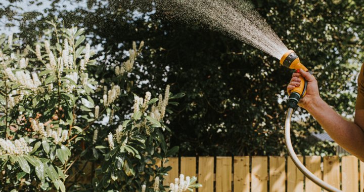 7 задължителни инструменти за поливане на тревни площи и градини