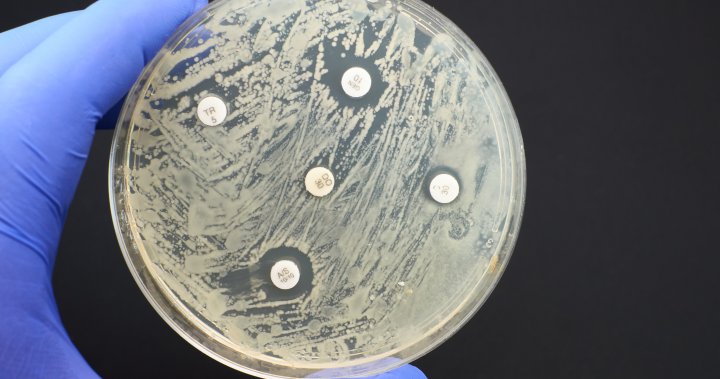 Канада въвежда нови насоки за справяне с антимикробната резистентност