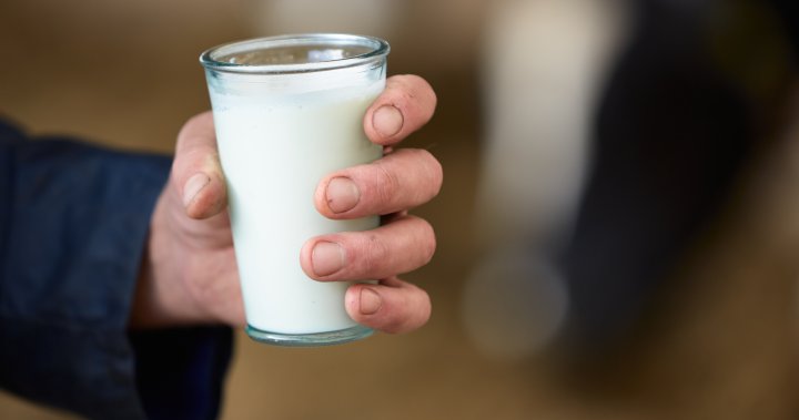 Raw milk sales are spiking in the U.S. despite bird flu warnings