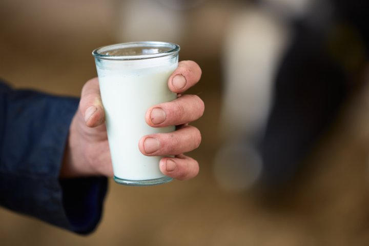 Raw milk sales are spiking in the U.S. despite bird flu warnings