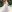 Rebecca Hall attends The 2024 Met Gala Celebrating "Sleeping Beauties: Reawakening Fashion" at The Metropolitan Museum of Art on May 06, 2024 in New York City.