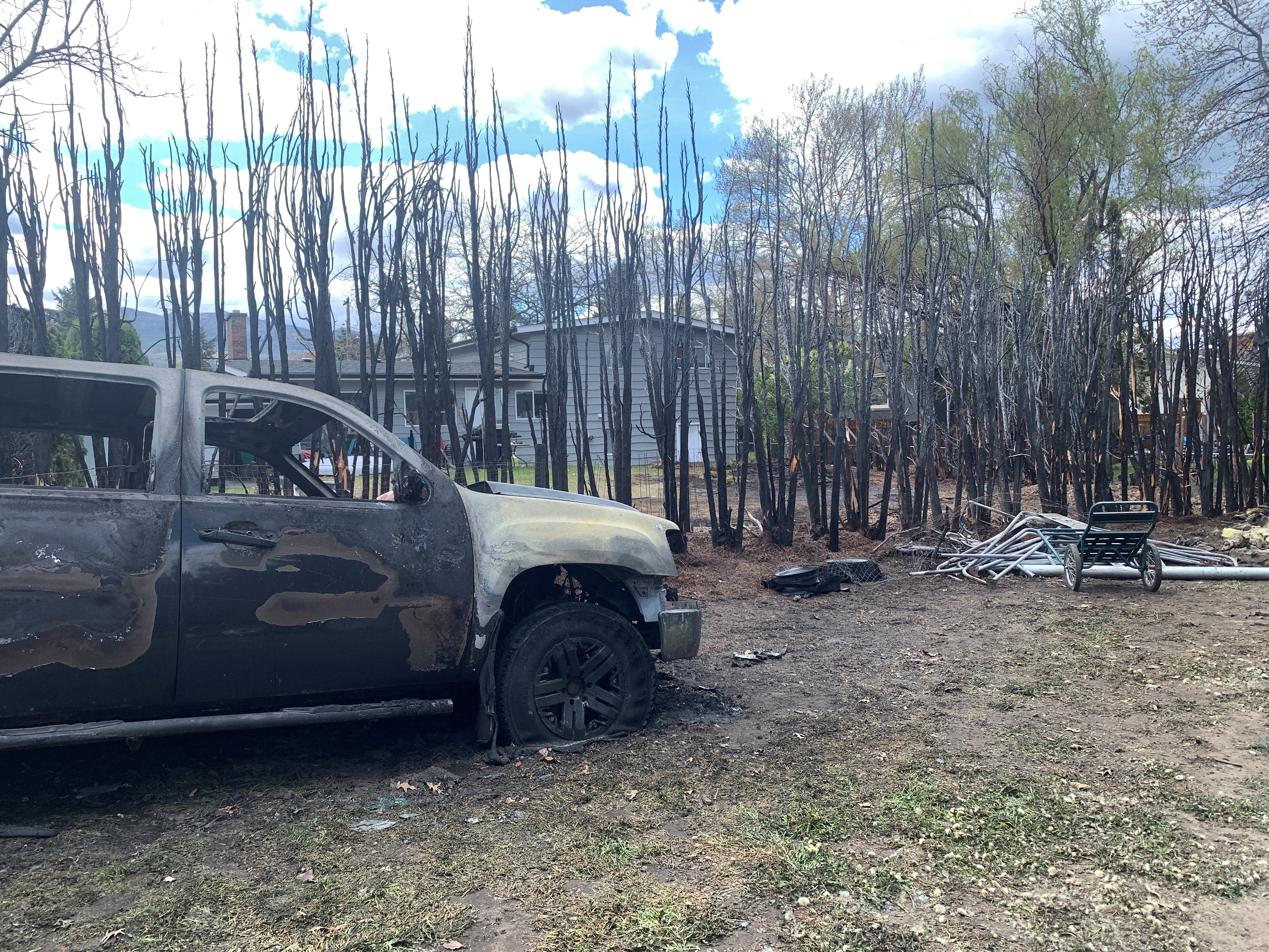 Rethink cedars, says Kelowna Fire Department after hedge blaze